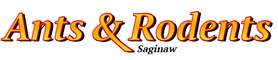 Saginaw Ant Exterminator & Rodent Control Company Logo